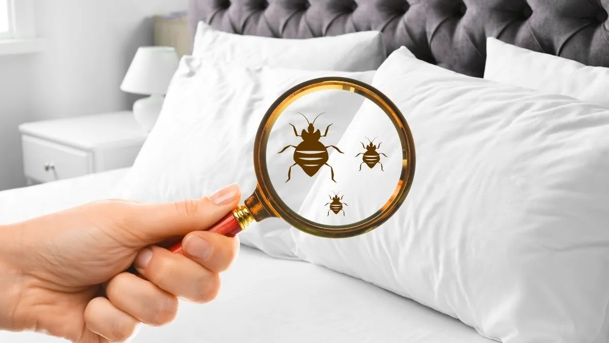 Chambre d'hôtel propre avec lit fait et porte-bagages près de la fenêtre
