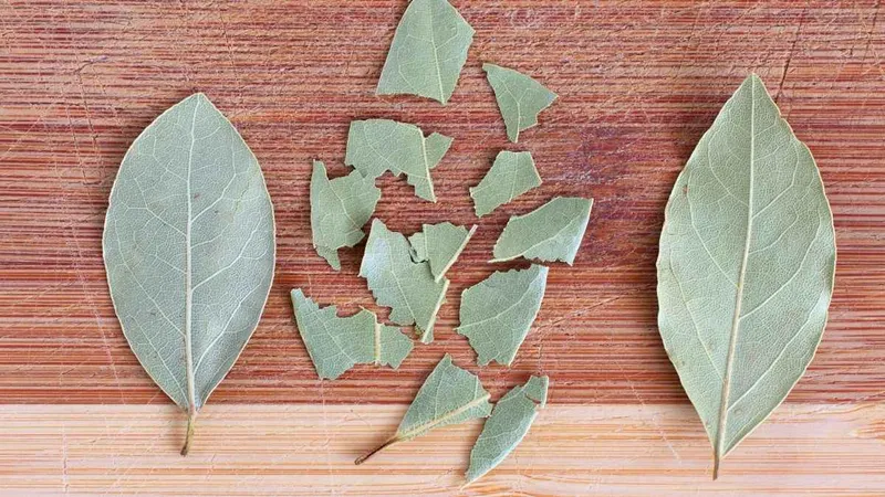 Feuilles de laurier fraîches posées sur étagère de placard avec bocaux de pâtes