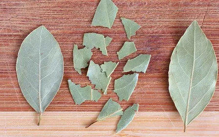 Feuilles de laurier fraîches posées sur étagère de placard avec bocaux de pâtes