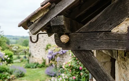 Sous une avancée de toit d'une maison française avec un petit nid primaire beige rayé de la taille d'une clémentine à peine visible, ambiance printemps ensoleillé