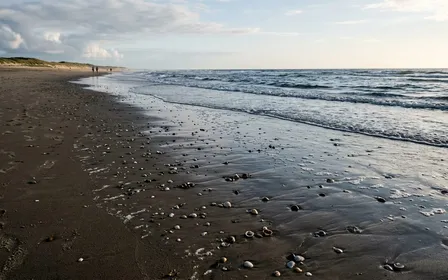 Sable humide en bord de mer française avec quelques coquillages et une ligne de marée basse, ambiance calme de fin de matinée sur une plage sans foule, lumière rasante d'été