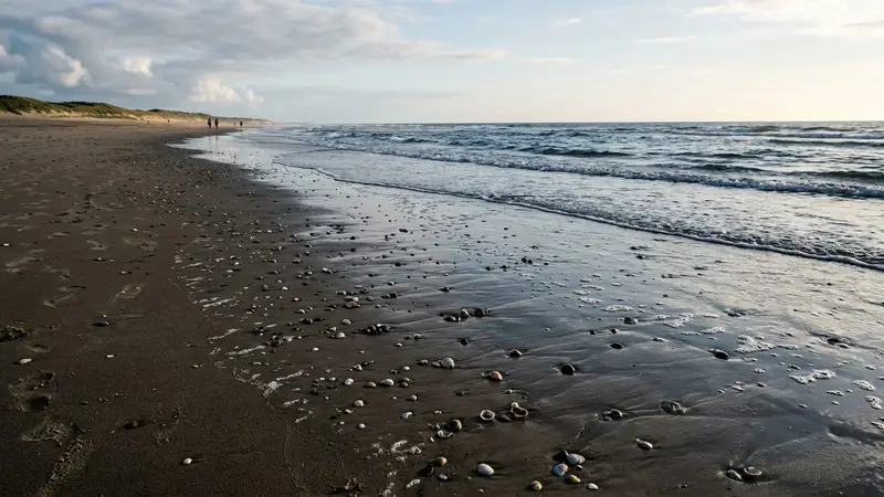 Sable humide en bord de mer française avec quelques coquillages et une ligne de marée basse, ambiance calme de fin de matinée sur une plage sans foule, lumière rasante d'été