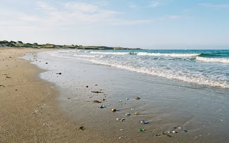 Plage française du littoral atlantique avec sable clair et vagues douces en fin de matinée d'été, ambiance calme sans humain visible et petits objets marins échoués au bord de l'eau