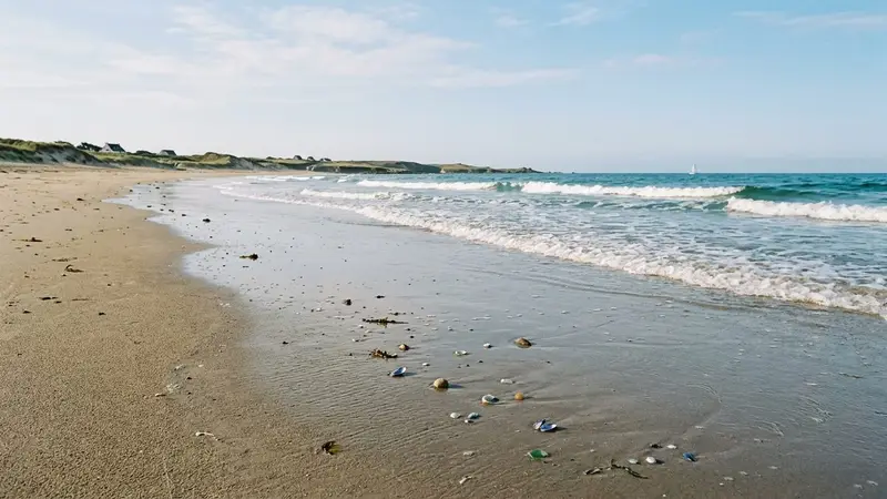Plage française du littoral atlantique avec sable clair et vagues douces en fin de matinée d'été, ambiance calme sans humain visible et petits objets marins échoués au bord de l'eau