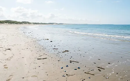 Plage française du littoral atlantique en été avec sable clair humide et petites vagues, ambiance calme de matinée ensoleillée sans humain visible, quelques débris marins délicats aux teintes bleutées au bord de l'eau
