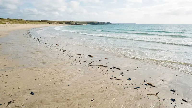 Plage française du littoral atlantique en fin de matinée d'été avec sable clair humide et vagues douces de l'océan, ambiance calme documentaire sans humain visible, quelques débris marins délicats bleutés au bord de l'eau
