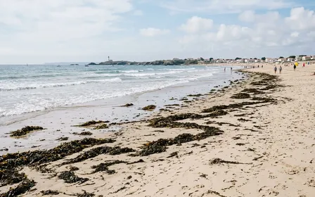 Plage française de sable clair en été avec vagues douces en fond et lignes d'algues échouées formant une bande naturelle le long de l'estran, ambiance sobre lumière naturelle de fin de matinée aucun humain visible plan large documentaire