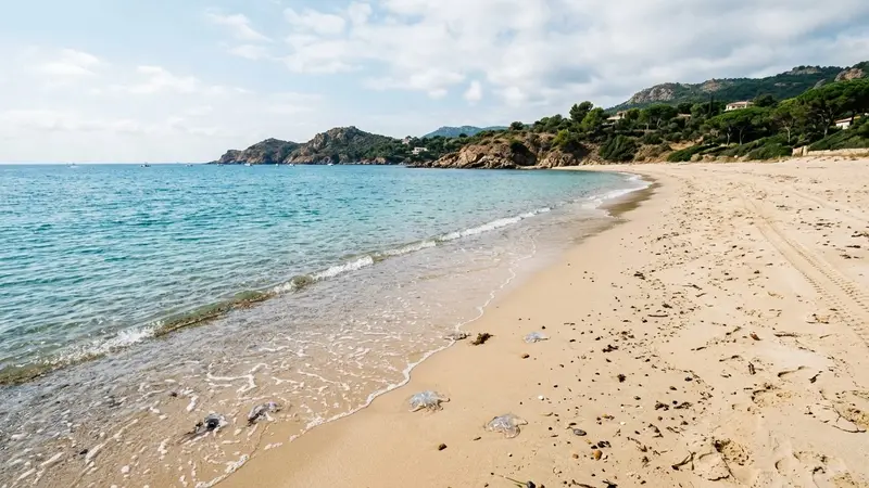 Plage méditerranéenne française du littoral azuréen en fin de matinée de septembre avec sable clair et eau calme aux nuances turquoise et petits débris de méduse translucides au bord de l'eau, ambiance sobre lumière naturelle documentaire aucun humain visible plan large