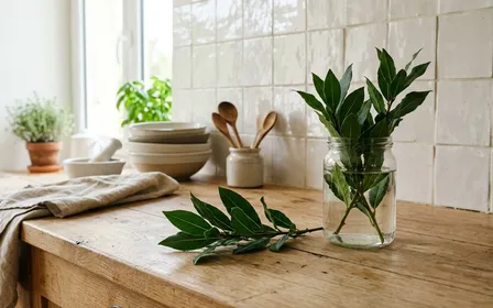 Cuisine française contemporaine en carrelage clair avec petites feuilles de laurier-sauce vert foncé fraîchement cueillies posées sur un plan de travail en bois clair près d'un pot en verre transparent, ambiance sobre lumière naturelle documentaire aucun humain ni insecte visible plan macro rapproché