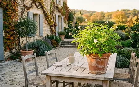 Terrasse française contemporaine avec grand pot en terre cuite orangée contenant un géranium citronnelle vert vif aux feuilles finement découpées posé au coin d'une table de jardin en bois clair en fin d'après-midi ensoleillé d'automne, ambiance sobre lumière naturelle documentaire aucun humain ni insecte visible plan large horizontal