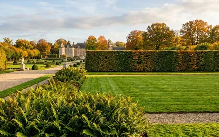 Jardin français d'automne en fin d'après-midi ensoleillé avec massif de fougères vertes et pelouse tondue soigneusement au premier plan et haie de charmes en arrière-plan, ambiance sobre lumière naturelle documentaire aucun humain ni animal visible plan large horizontal