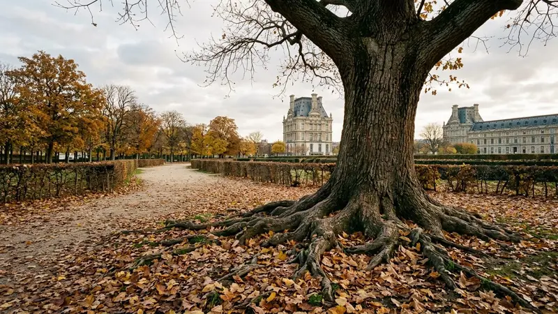 Jardin français d'automne avec feuilles mortes brunes et jaunes tombées au pied d'un vieux chêne aux racines apparentes en fin d'après-midi, ambiance sobre lumière naturelle documentaire aucun humain ni insecte visible plan large horizontal