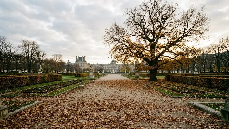 Jardin français d'automne avec feuilles mortes brunes tombées au sol et branches nues d'un vieux chêne aux tons dorés en début de matinée fraîche, ambiance sobre lumière naturelle documentaire aucun humain ni insecte visible plan large horizontal