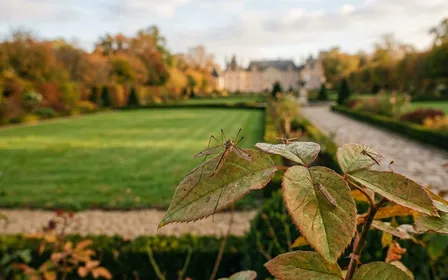 Terrasse de jardin français d'automne au soir avec lampadaire ancien allumé lumière chaude, grosse tipule aux longues pattes posée sur un mur crépi clair à proximité, pelouse en fond légèrement jaunie par les larves, ambiance patrimoniale sobre, lumière douce bleu violet du crépuscule, aucun humain visible, plan serré