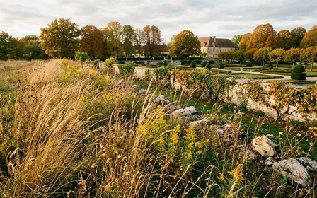 Mante religieuse verte adulte de 7 centimètres accrochée à une tige d'herbe sèche d'un jardin français d'automne, pattes ravisseuses repliées, œil composé bien visible en gros plan, végétation de friche jaunie en arrière-plan, lumière douce de fin de journée, aucun humain visible, plan macro naturel