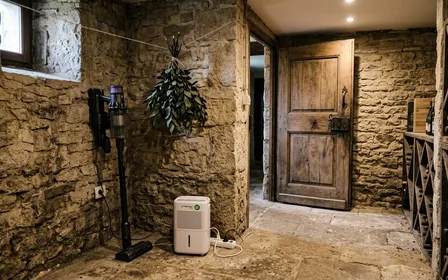 Vue d'ensemble d'une cave française propre et sèche avec un déshumidificateur électrique au centre, un aspirateur à sac posé au sol, des bouquets de feuilles de laurier noble suspendus dans un angle de plafond, cartouche de mastic silicone sur étagère, lumière douce latérale, plan large net